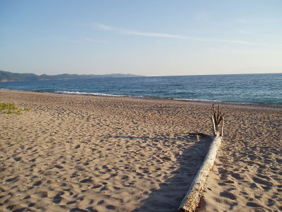 g4/80/380480/3/63917630.61VrTS64.jpg