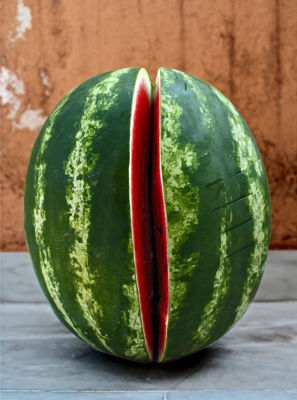 A water melon's story