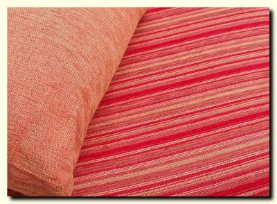 P6112448 sofa-cushion 2.jpg