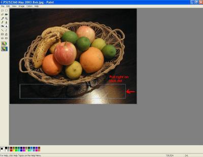 Paint 4 - snap0118.JPG