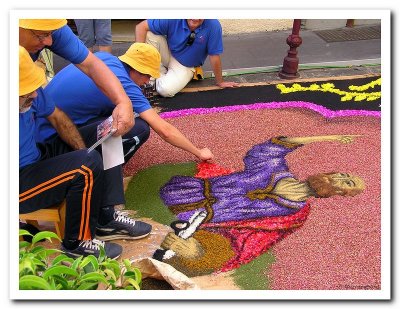 Petal Carpets June'07.jpg