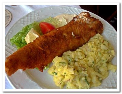 Hake fish & German Salad.jpg