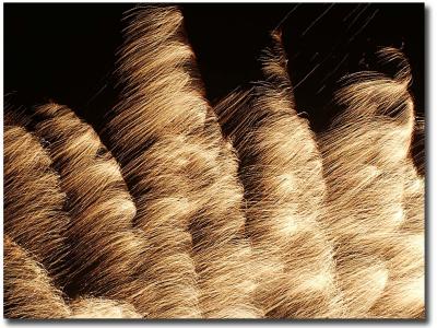 S20_Fireworks0114