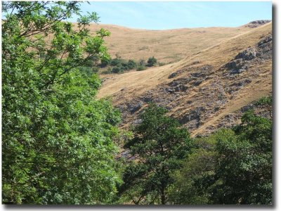 Dovedale0010
