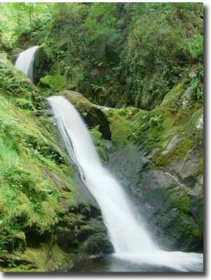 Dolgoch Waterfall