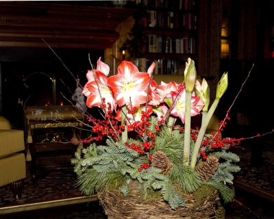 IMG_2522.jpg