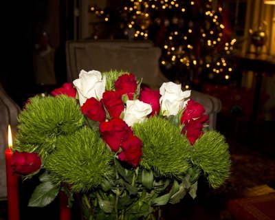 IMG_2527.jpg
