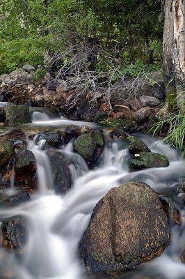 Creek at Snowbasin