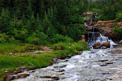 Falls Near Logan Pass