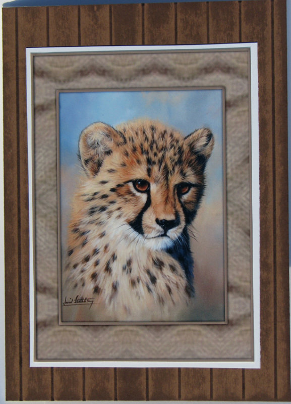 Cheetah Cub card for Matthews Project