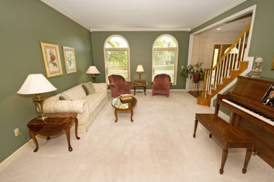 livingroom 450.jpg
