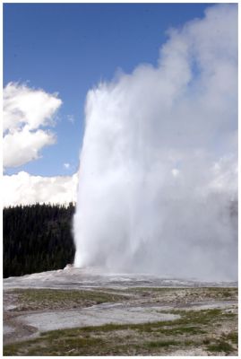 Yellowstone Old Faithful