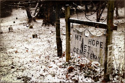 january 23Pet Cemetery