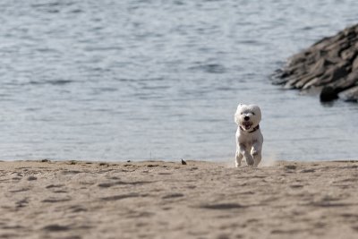 IMG_6517_DxO.jpg