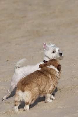 IMG_6589_DxO.jpg
