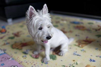 IMG_7518_DxO.jpg
