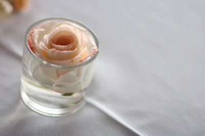Rose in votive cup