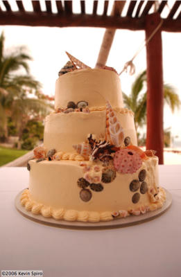 Beach wedding cake with shells. Photo by Kevyn Spiro