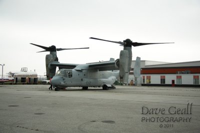 IMG_0118.jpg
