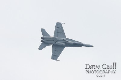 IMG_1008.jpg
