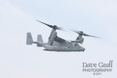 IMG_1385.jpg