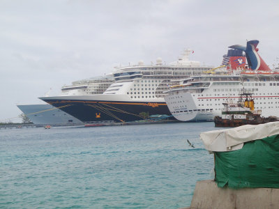 2 of the biggest ships in the world