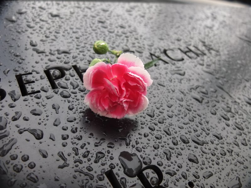 NYC_20120503_063.jpg