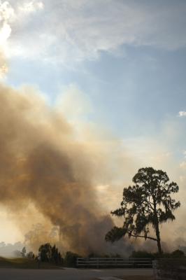Florida Wildfire