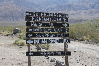 We went up Pleasant Canyon