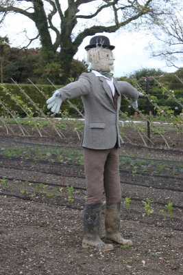 Diggory, a proper British scarecrow