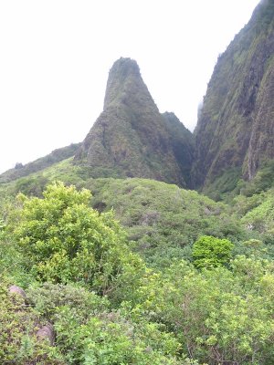 Maui 2006