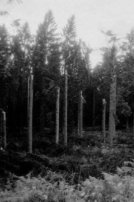 089_teus_10_012_10.jpg