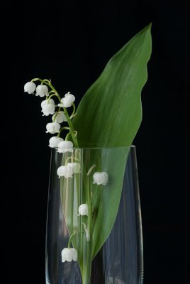 teus__DSC0755.jpg