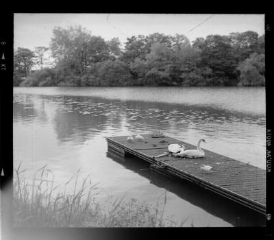 rollei2
