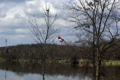 Kite Eating Tree