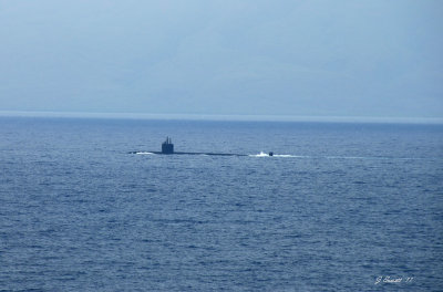 humpback whale, or nuclear submarine
