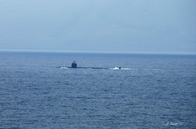 Not a whale, a natural nuclear submarine.