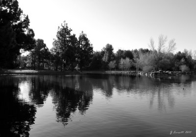 Yorba Regional 9