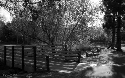 Yorba Regional 12