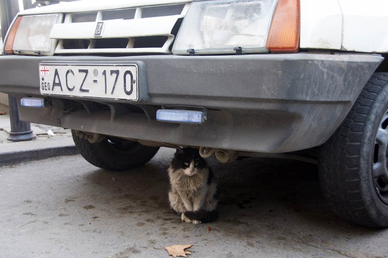 Hiding