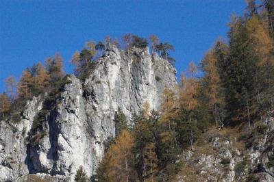 DSC_8618.jpg
