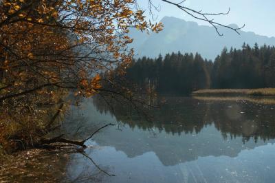 DSC_8625.jpg