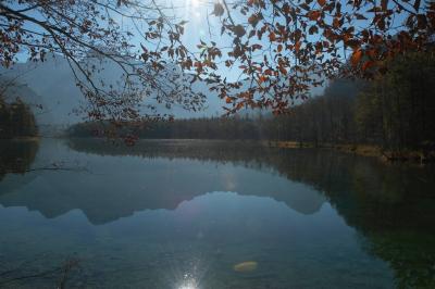 DSC_8641.jpg
