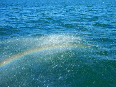 Rainbow in the Spray