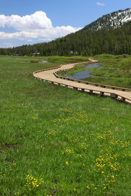 Along the Creek