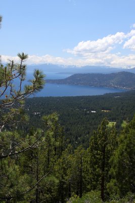 Overlooking the Lake