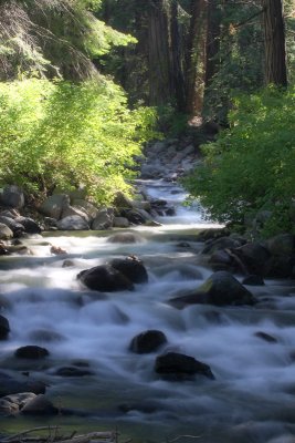 Along the Stream