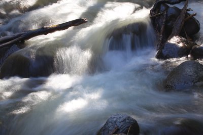 In the Stream