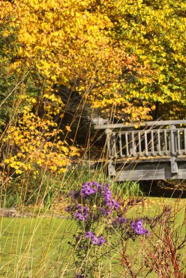 Bridge in Olbrich Gardens