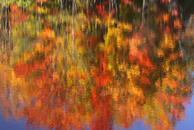 Reflections of Fall